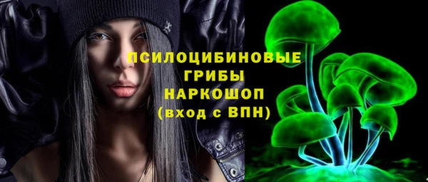 соль ск Няндома