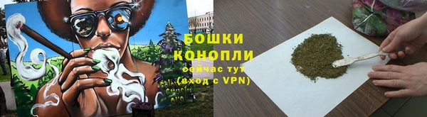 PSILOCYBIN Новокубанск