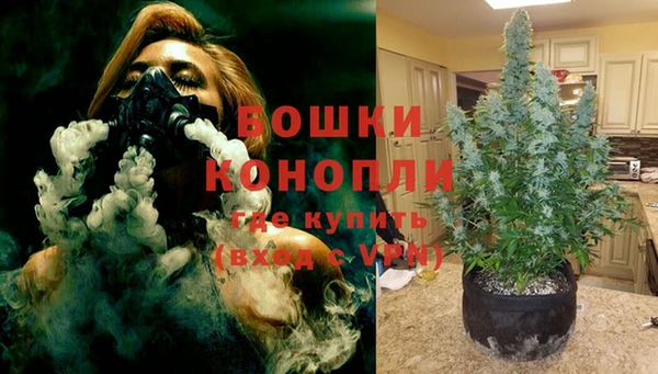 PSILOCYBIN Новокубанск