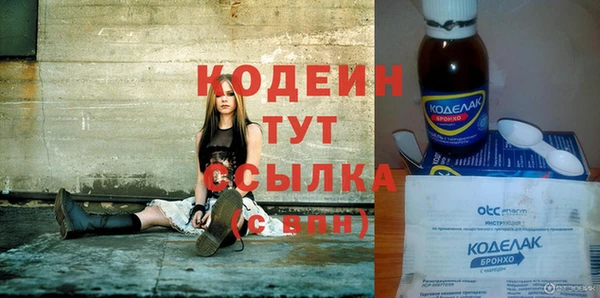 соль ск Няндома