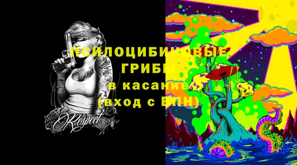 спиды Дегтярск