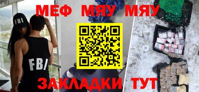 индика Гатчина