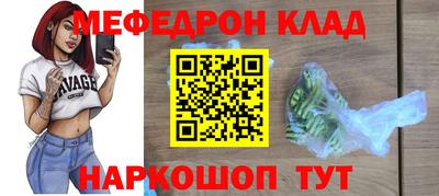 индика Гатчина