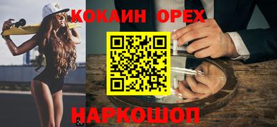 индика Гатчина