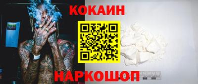 индика Гатчина