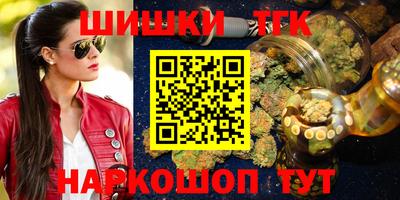 индика Гатчина