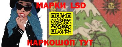индика Гатчина
