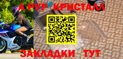 индика Гатчина