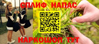 гидра Бузулук