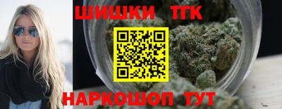 индика Гатчина