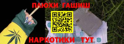 индика Гатчина