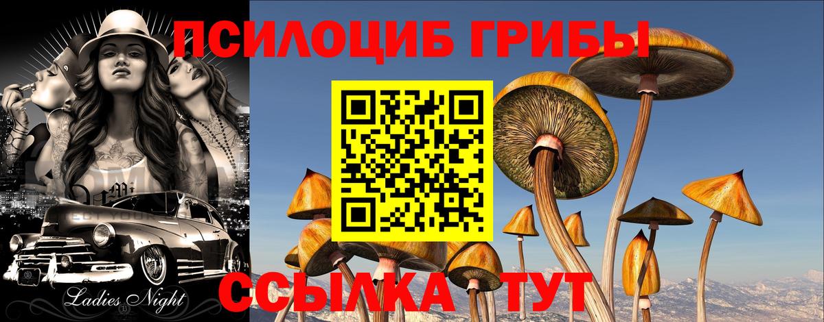 Галлюциногенные грибы Magic Shrooms  Галлюциногенные грибы мицелий  Ирбит 